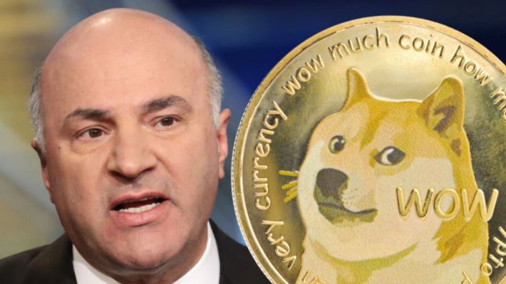 Dogecoin-20210802.JPG